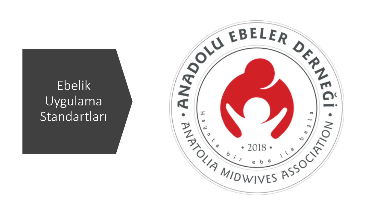 Ebelik Mesleki Uygulama Standartları